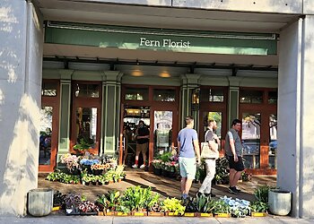 Boston Florists Fern by Boston Rose Florist