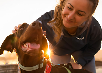 Fetch! Pet Care - Arlington, TX Dog Walkers - Job Site Image