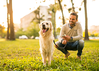Fetch! Pet Care Fetch! Pet Care - Arlington, TX Dog Walkers - Service Image