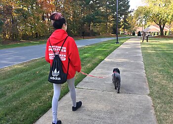 Greensboro Dog Walkers Fetch! Pet Care
