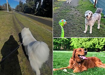 Seattle Dog Walkers Fetch! Pet Care