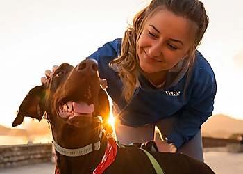 Fetch! Pet Care - Tucson, AZ Dog Walkers - Service Highlights