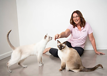 Tucson Dog Walkers Fetch! Pet Care