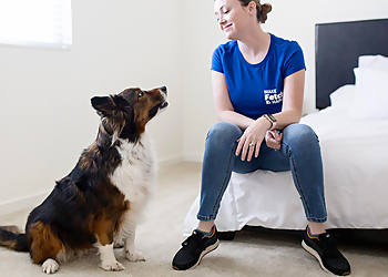 Washington Dog Walkers Fetch! Pet Care