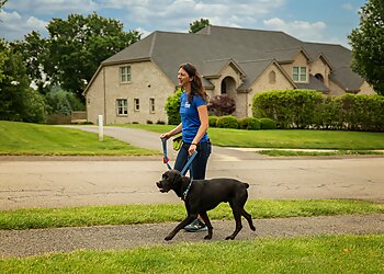 Pittsburgh Dog Walkers Fetch! Pet Care North Pittsburgh