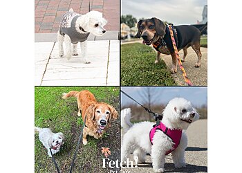 Pittsburgh Dog Walkers Fetch! Pet Care North Pittsburgh
