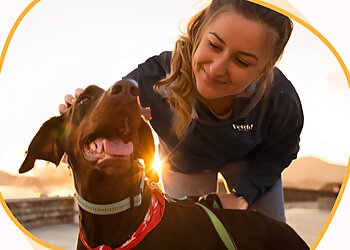 Tucson Dog Walkers Fetch! Pet Care Tucson