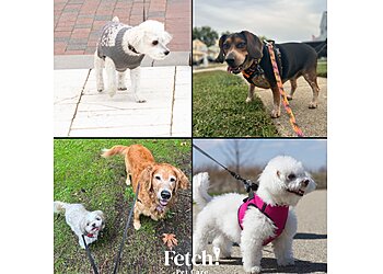 Boise City Dog Walkers Fetch! Pet Care of Boise to Ontario