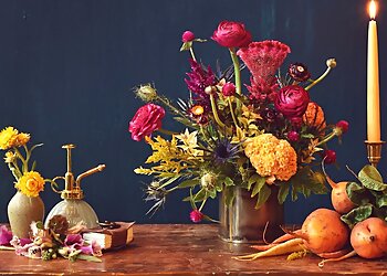 Kansas City Florists Fiddly Fig