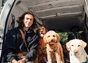 Washington Dog Walkers Fido Group