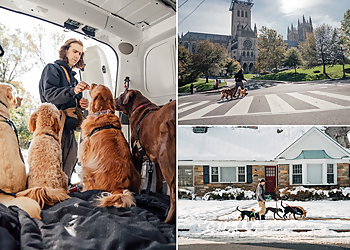 Washington Dog Walkers Fido Group