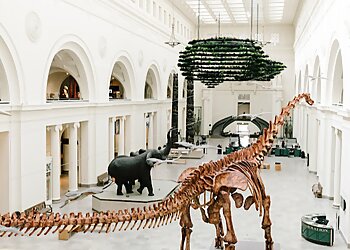 Chicago Places To See Field Museum