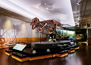 Chicago Places To See Field Museum