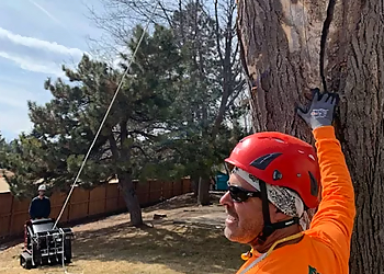 Tallahassee Tree Services Fielder Tree Service, LLC