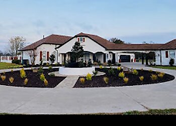 Mesquite Painters Fields Painting