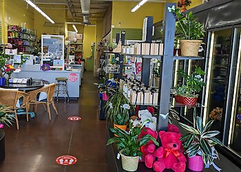Tempe Florists Fiesta Flowers, Plants & Gifts