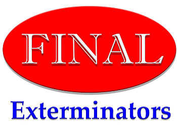 Final Exterminators Moreno Valley Pest Control Companies