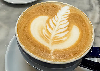 Fiore Caffe Miami Miami Cafe image 1