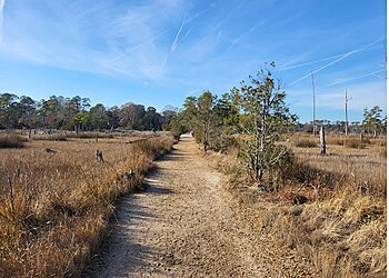 Virginia Beach Hiking Trails First Landing State Park