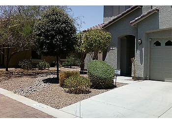 Surprise Landscaping Companies First Option Landscape