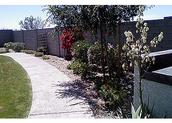 Surprise Landscaping Companies First Option Landscape