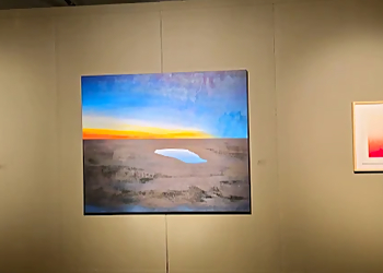 Wichita Art Galleries Fisch Haus