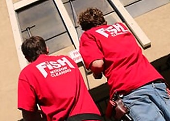 Concord Window Cleaners Fish Window Cleaning