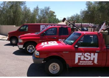 Mesa gutter cleaner Fish Window Cleaning