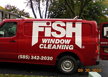 Fish Window Cleaning Rochester Window Cleaners