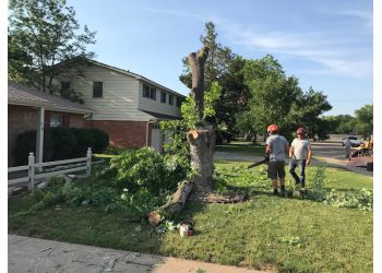 Five Star Tree Service - Amarillo, TX Tree Services - Team Working Image