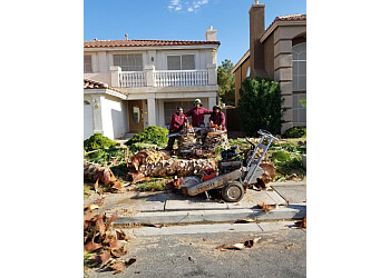 Five Star Tree Service - Las Vegas, NV Tree Services - Team Working Image