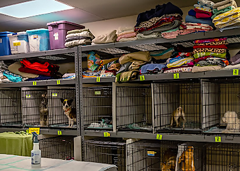 Fix West Texas Community Vet Clinic  - Midland, TX Veterinary Clinics - Clinic Interior Image