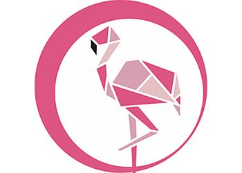 Chicago Web Designers Flamingo Agency LLC