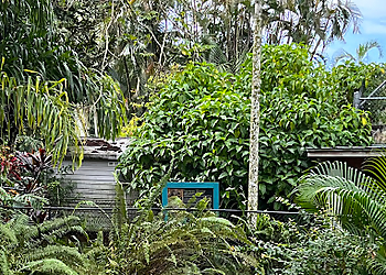 Pembroke Pines Places To See Flamingo Gardens