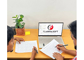 Paterson Web Designers FlammaSoft