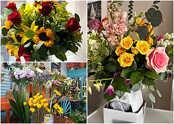 Baltimore Florists Fleur De Lis Florist