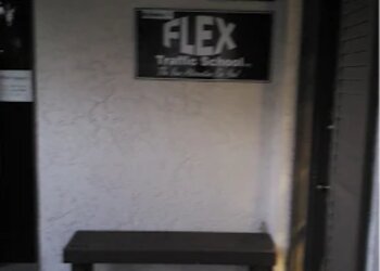 Tampa Driving Schools Flex Traffic School
