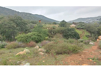 El Cajon Hiking Trails Flinn Springs County Park