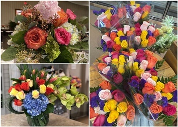 Gainesville Florists Floral Expressions Florist