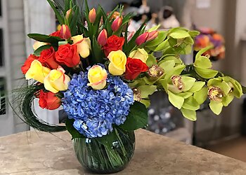 Floral Expressions Florist Gainesville Florists