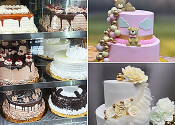 Tampa Cakes Florida Bakery