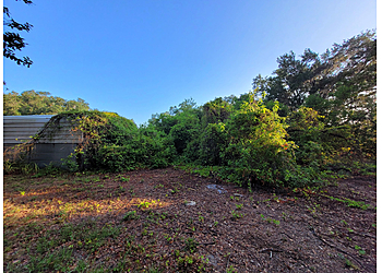 Lakeland Tree Services Florida Green Tree, LLC