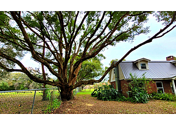 Lakeland Tree Services Florida Green Tree, LLC