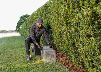 Florida Pest Control Fort Lauderdale Pest Control Companies
