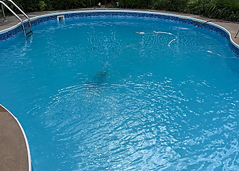 St Louis Pool Services Florida Pool and Spa