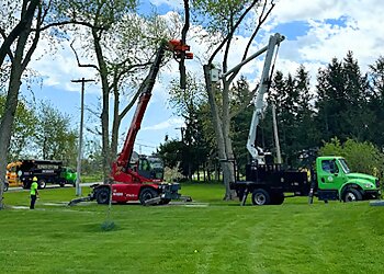 Rochester Tree Services Flower City Tree