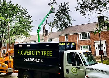 Rochester Tree Services Flower City Tree