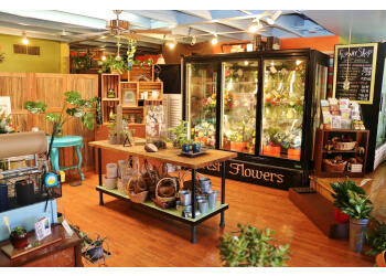 Tucson florist Flower Shop on 4th Avenue