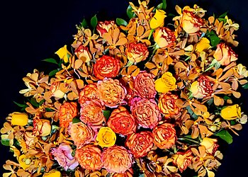 Santa Clara Florists Flowers By Yip