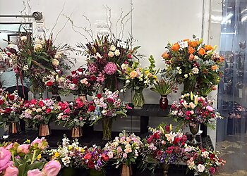 Charlotte Florists Flowers of Charlotte